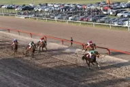 Best Seattle ganó las “Estrellas”