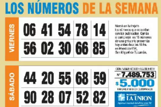 La grilla completa de los Números de Oro