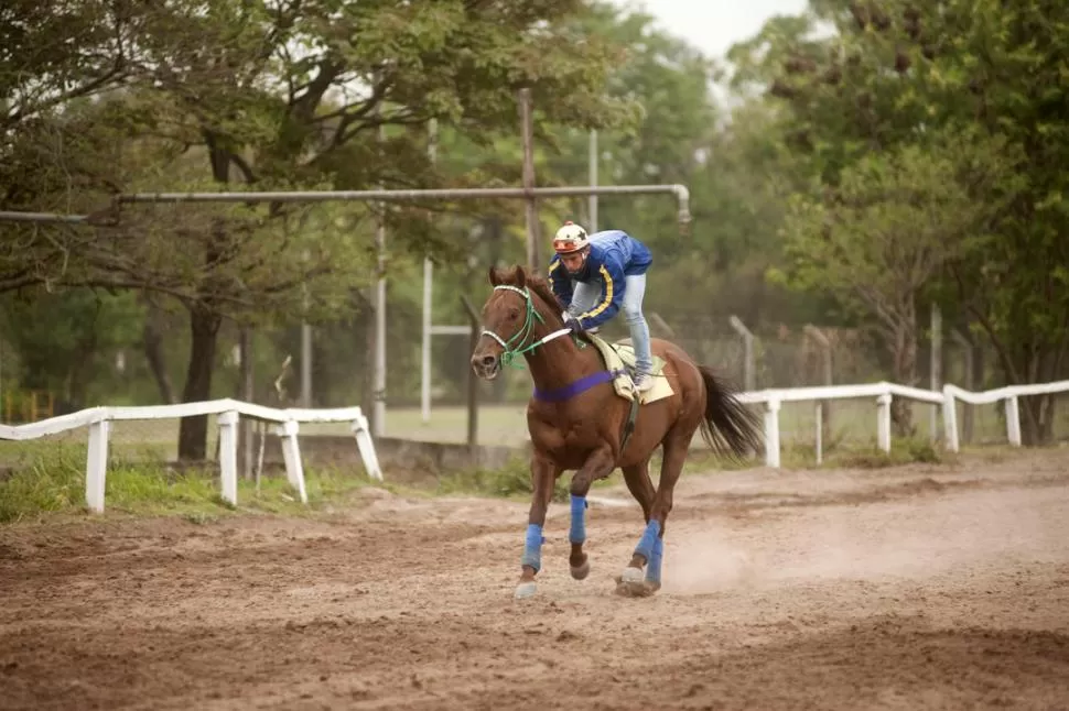  la gaceta / foto de Inés Quinteros Orio