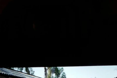 El sábado habrá una importante subasta