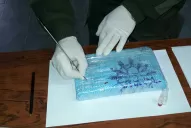 Una mujer y su pequeño hijo viajaban en ómnibus con más de un kilo de cocaína