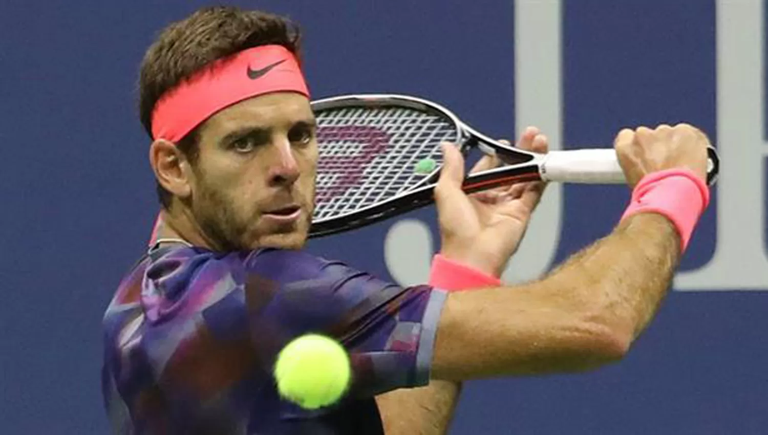 JUAN MARTÍN DEL POTRO. FOTO TOMADA DE LANACION.COM.AR