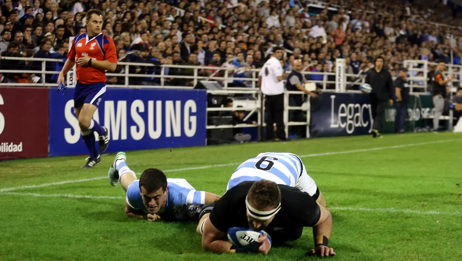 Los Pumas no pueden romper el maleficio contra los All Blacks, que se consagraron campeones del Rugby Championship