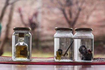 Imaginación al poder