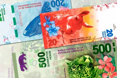 Llega el nuevo billete de $ 20: tiene un guanaco y comenzará a circular desde el miércoles