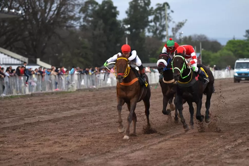 EMOCIONANTE FINAL. El alazán Il Albergo (izquierda) atropelló con mucha fuerza para vencer a Too Big To Fail, mientras que tercero se ubicó el favorito El Vodevil. LA GACETA / FOTO DE ANALIA JARAMILLO 