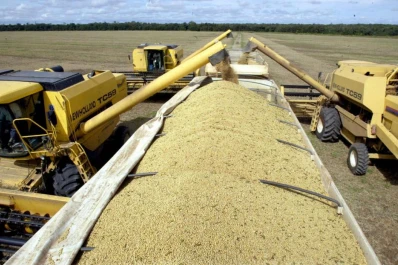 La baja en la retención de la soja haría perder al fisco U$S 1.000 millones