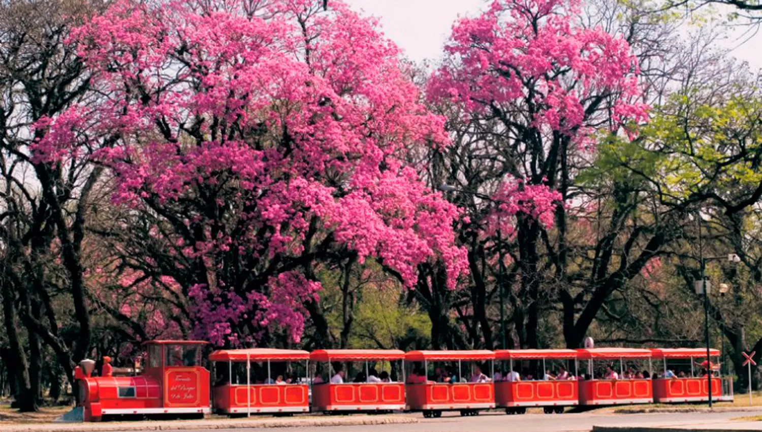 El fin de semana arranca con sol, pero terminaría con lluvia