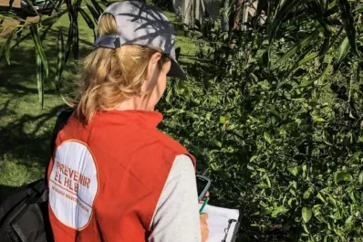 Detección positiva de HLB y de Diaphorina citri en Corrientes