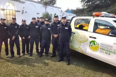 Prevenir el HLB: en tres meses se detuvieron 13.000 camiones