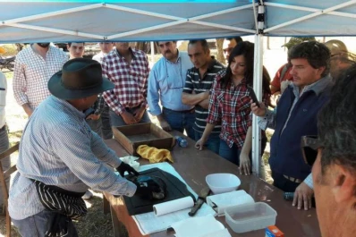 Piscicultura, una alternativa productiva para Tucumán