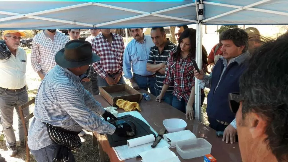 PARA COMER. El chef Lalo Rulfi enseñó a filetear, condimentar y cocinar. 