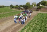 “Riego, fertilización y buenas semillas impulsaron la producción”