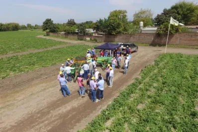 “Riego, fertilización y buenas semillas impulsaron la producción”