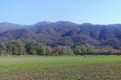 Buena campaña hortícola en el valle de Choromoro