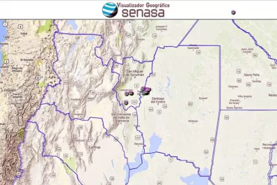 Advierten sobre nuevos nacimientos de langostas