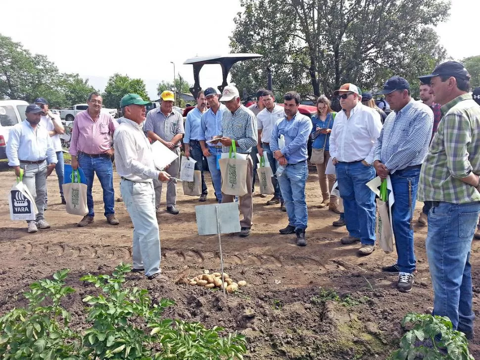 PRODUCTORES. Escuchan con atención los informes técnicos.