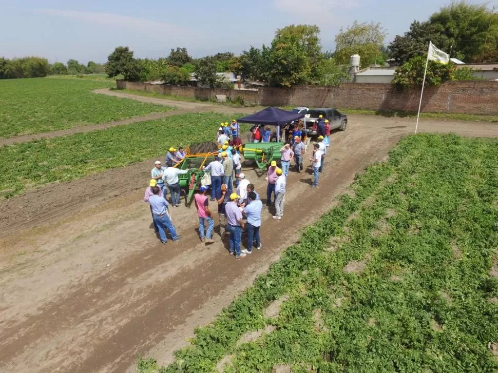 MÁQUINAS. En demostraciones a campo se pudo ver el trabajo de las cosechadoras presentadas por las empresas. 