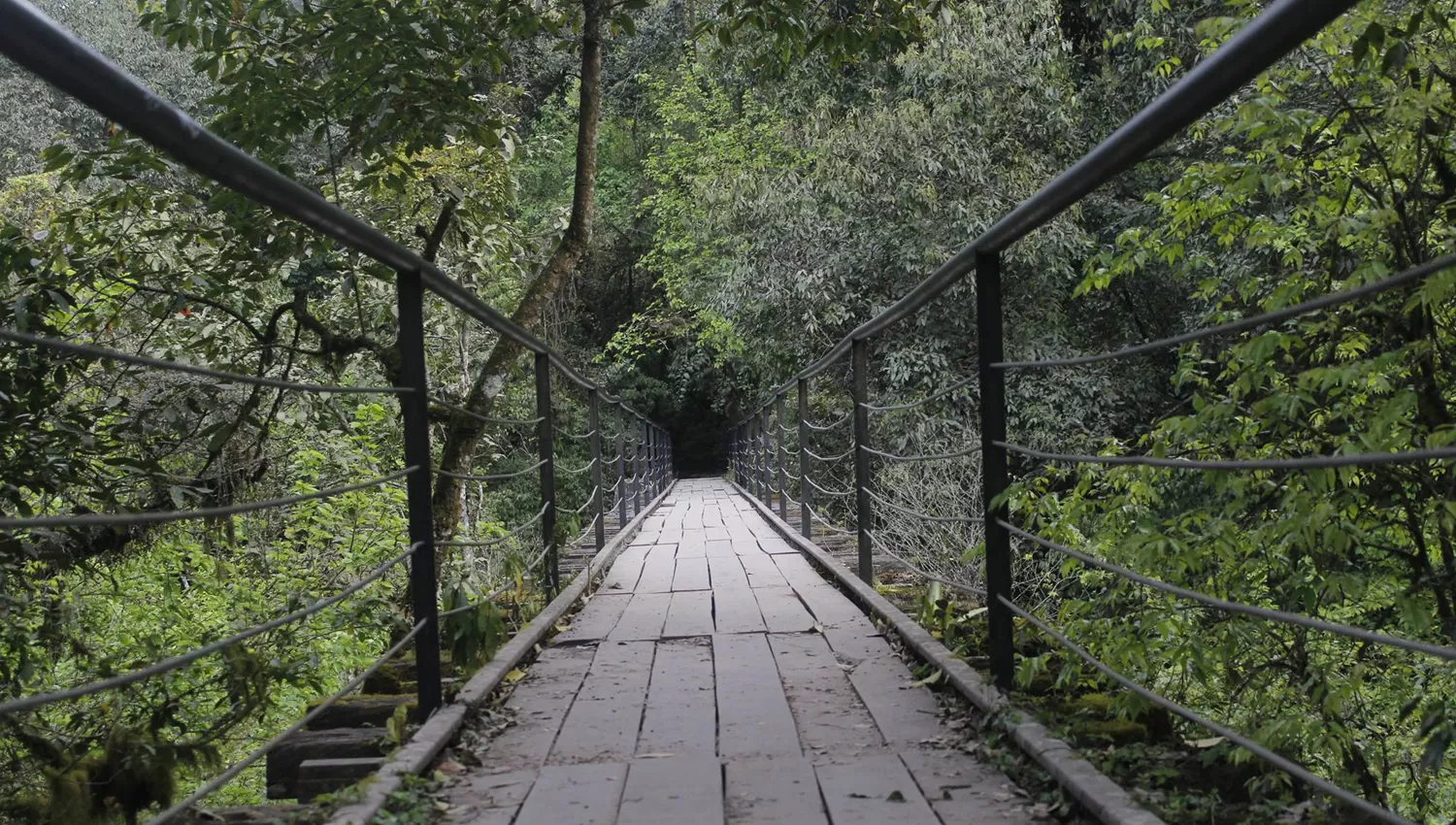 El concurso de fotografía Redes Cubriendo San Javier entró en su etapa final