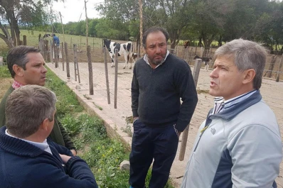 Proyectan una planta pasteurizadora y ensachetadora de leche