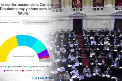Cómo quedó la Cámara de Diputados tras las elecciones 2017