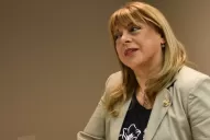 La diputada tucumana Miriam Gallardo contó por qué votó en contra de De Vido