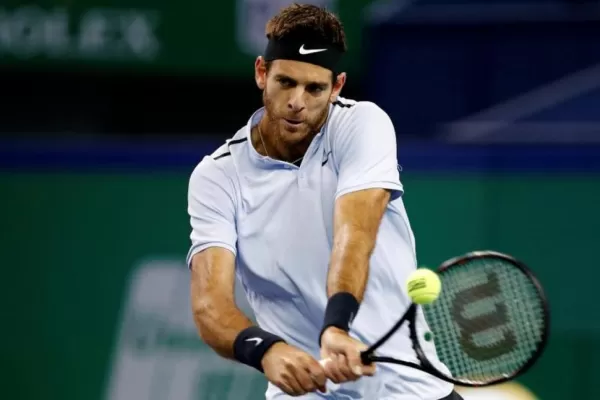 La victoria de Schwartzman ayudó a Del Potro