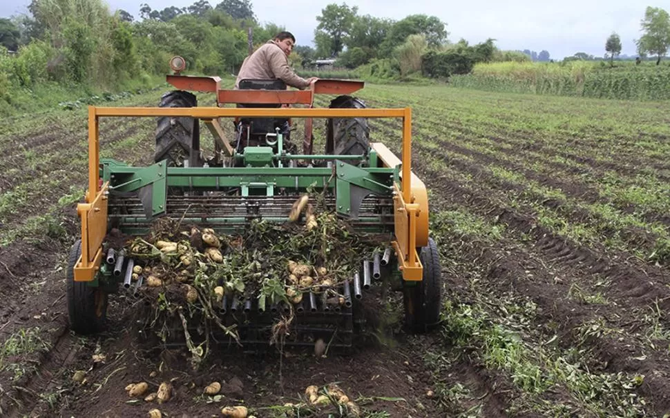 LAS MEJORAS. Los productores ahorrarán tiempo y reducirán sus costos de producción. 