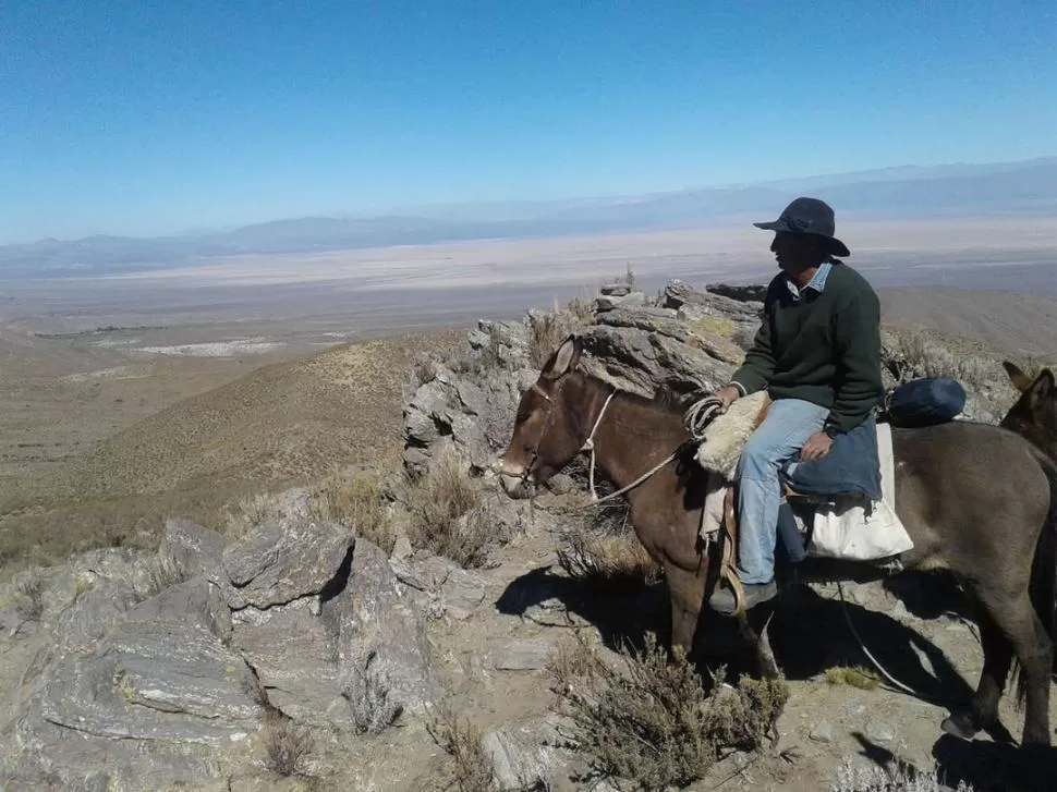 ALTURA En el Parque Nacional se llega a unos 4.200 msnm. LA GACETA / FOTOS DE ROBERTO CASEN | COLABORACIÓN DE SERGIO JUÁREZ.-