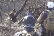 Durante el primer rastrillaje, un perro habría encontrado a Maldonado y no le hicieron caso