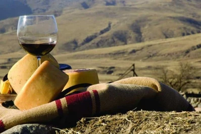 Bodegueros de Tucumán: pareciera que quieren destruir a las economías regionales