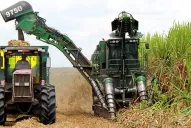 Cañeros de Tucumán: rechazamos que se rotule al azúcar como sustancia nociva