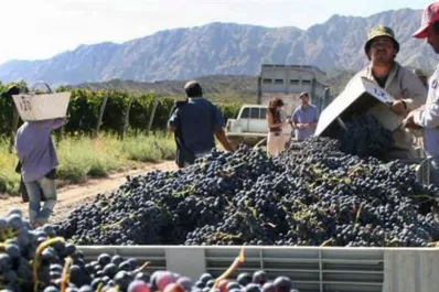 Dujovne recibirá al gobernador de Mendoza para discutir el impuesto al vino