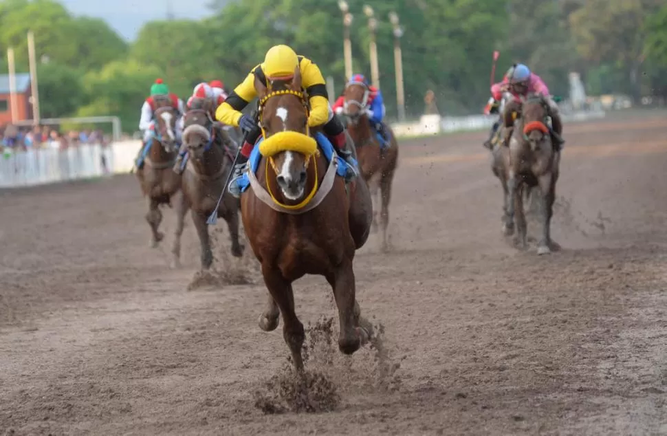 APLASTÓ A SUS RIVALES. Binary Code contó con la muy buena conducción de “Cheo” Abregú para ganar la prueba central. la gaceta / foto de Antonio Ferroni