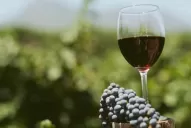 Mendoza lo consiguió: el vino y los espumantes no tendrán impuesto internos