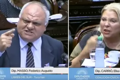 Masso: siento vergüenza ajena y pena por Carrió