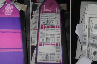 Escondió U$S 150.000 falsos entre accesorios de Peppa Pig