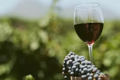 Mendoza lo consiguió: el vino y los espumantes no tendrán impuesto internos