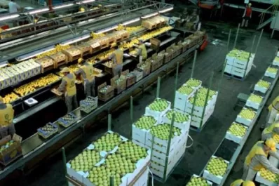 “La competitividad es un problema a resolver”