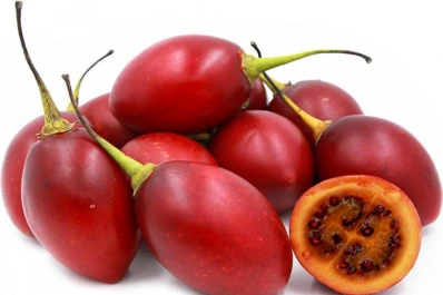 Investigan una nueva alternativa productiva