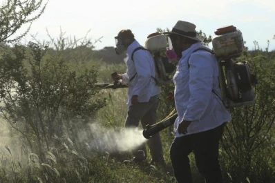 La permanencia de la plaga de langostas obliga a extremar recursos y nuevas estrategias