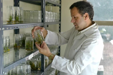 Importantes aportes de la Eeaoc a la biotecnología