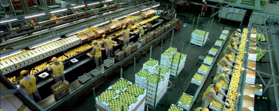 OBJETIVOS. El sector privado citrícola sigue trabajando para generar diversas herramientas que le permitan afrontar un futuro con cambios permanentes. 