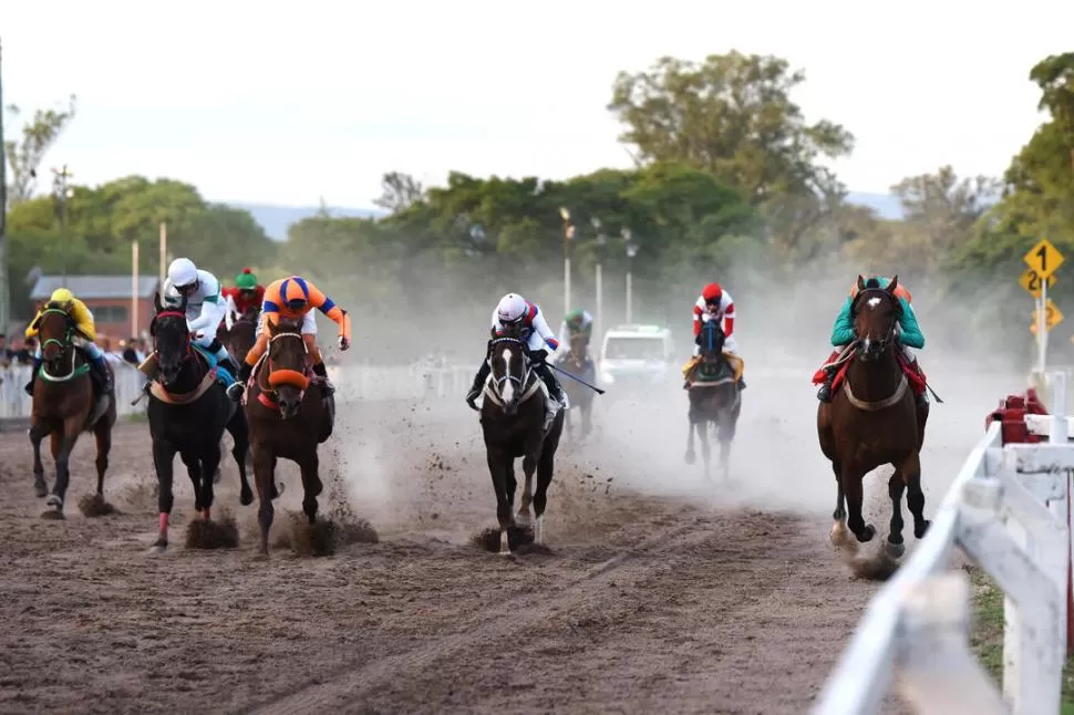 SE REENCONTRÓ CON EL TRIUNFO. Czar se adjudicó el clásico “Jockey Club” y el 17 de diciembre competirá en Palermo. la gaceta / foto de Analía Jaramillo