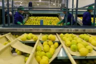 Los citricultores plantean su inquietud por la suba de los impuestos internos