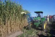 “El alcohol tiene que participarse al cañero; es nuestra lucha”