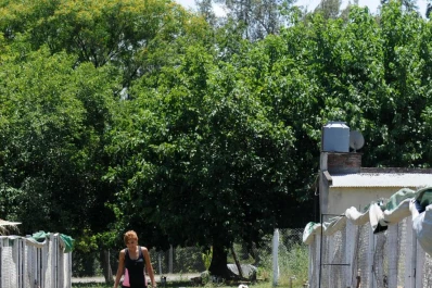 A la cucha, el rincón de las mascotas