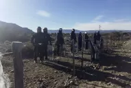 Exigen que los mapuches liberen tierras ocupadas