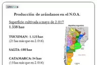Arándanos: los aspectos cuarentenarios concentraron las preguntas de la delegación oriental