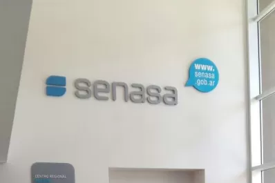 Informan los alcances del Protocolo de Tratamiento para Exportar Arándanos